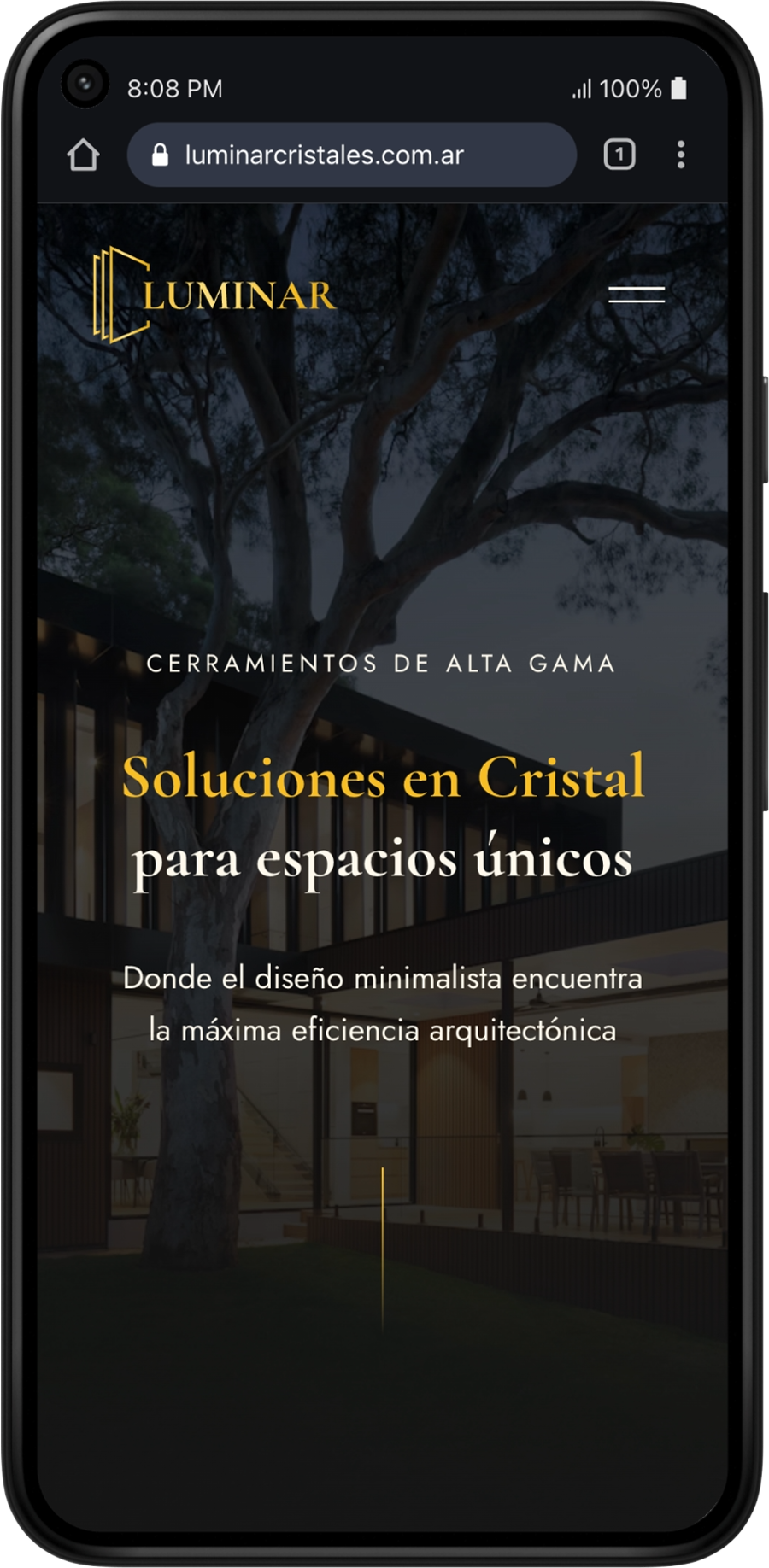 Luminar Mobile Mockup